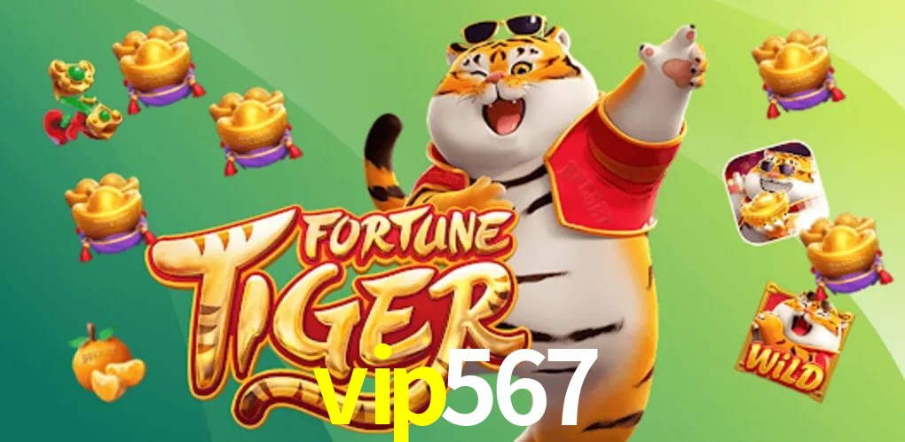 Experiência VIP vip567